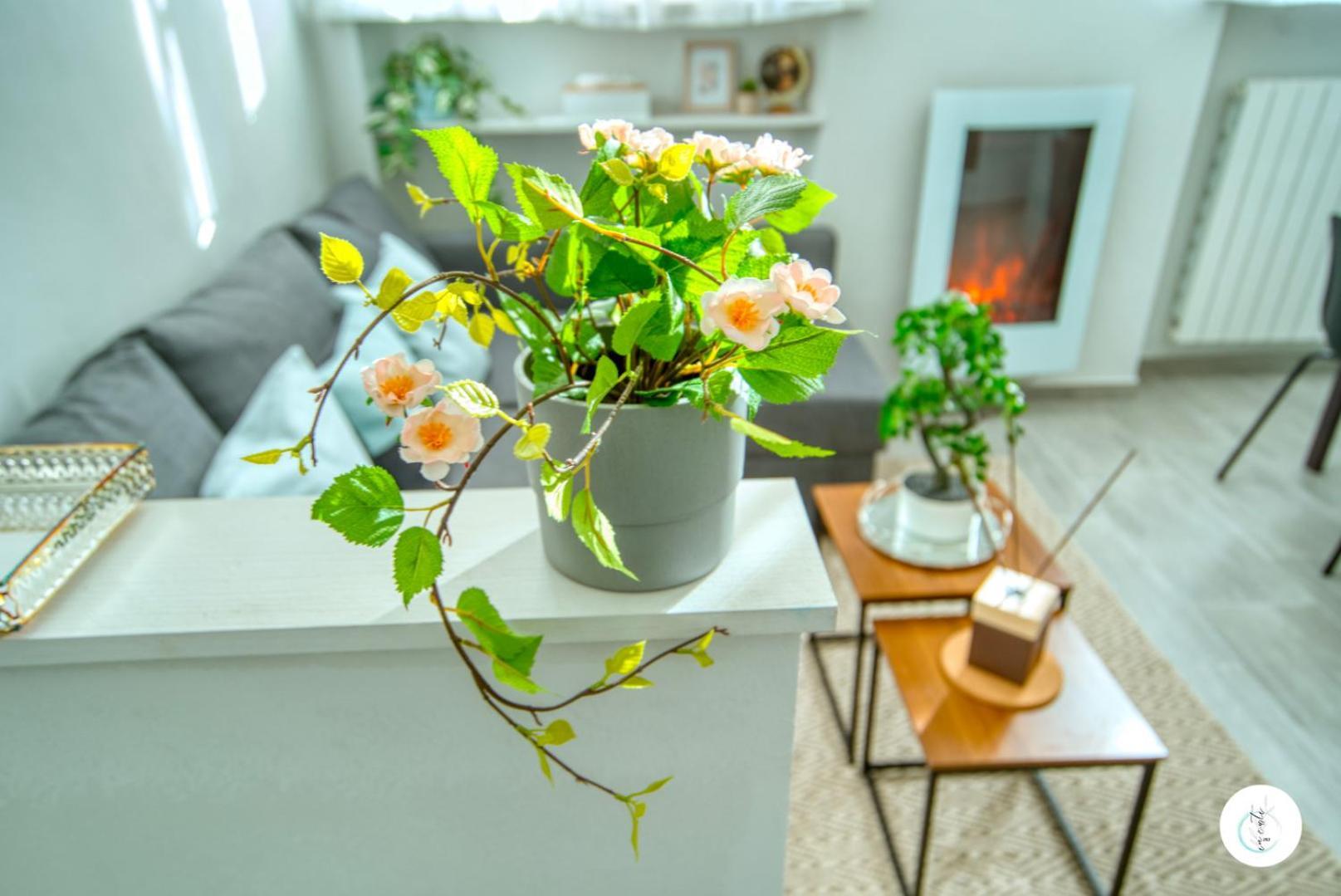 Apartament In Curti 1913 Parabiago Zewnętrze zdjęcie